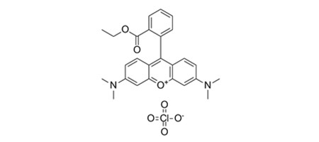 Tetramethylrhodamine ethyl ester,TMRE